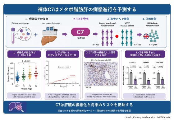 研究トピックス | 信州大学大学院医学系研究科